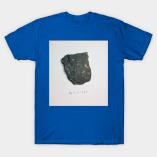 Flat Fossil Rock Sample Detrick 027 T-Shirt